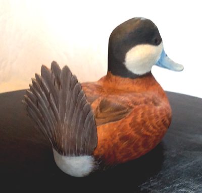 Ruddy Duck Tail
